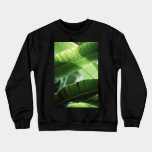 Flora Crewneck Sweatshirt